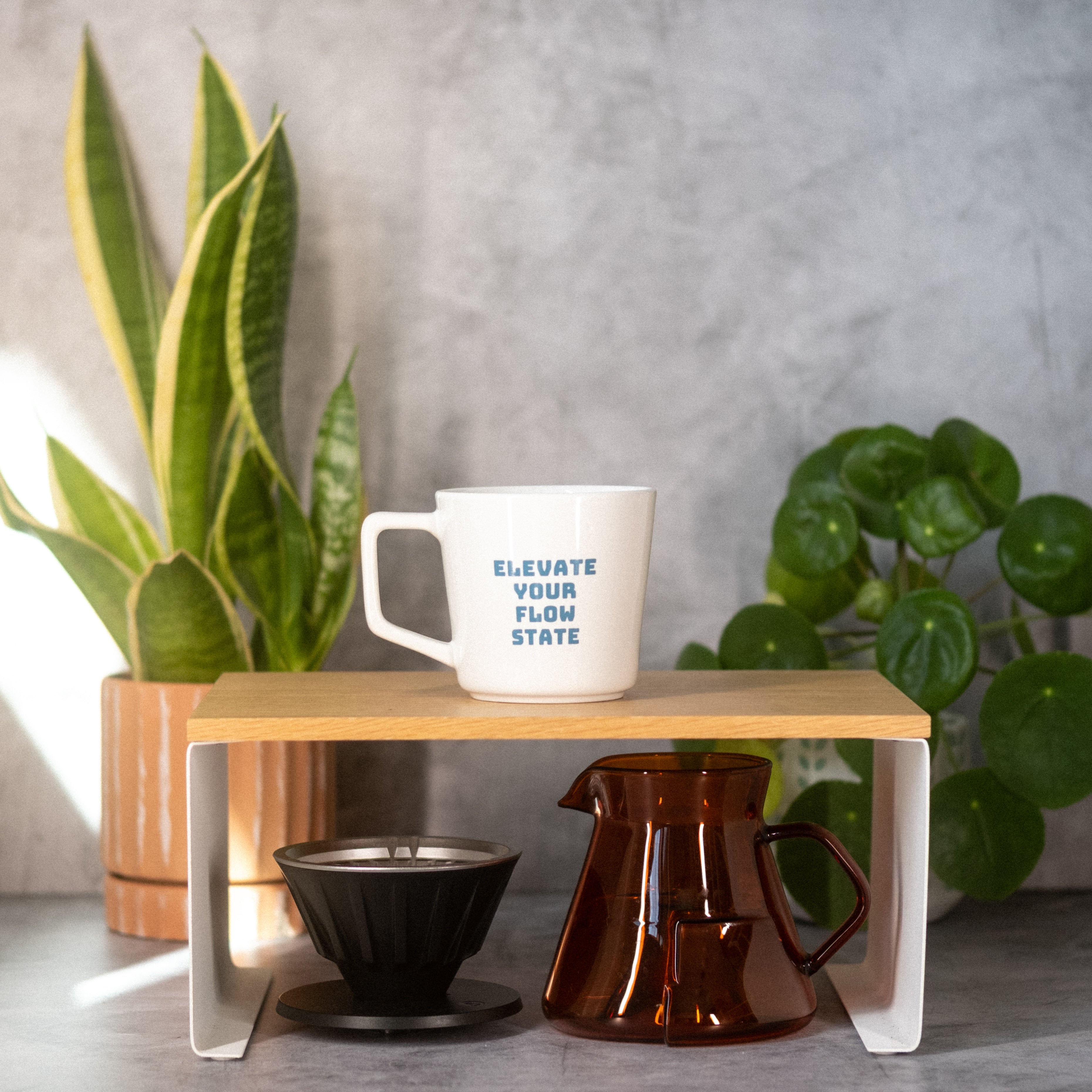 Bird Mug - 12 oz